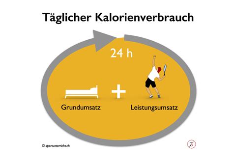 Energie Grundumsatz Leistungsumsatz Energiebilanz