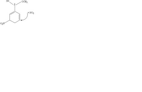 Solved What would you expect the structure of the dinitro | Chegg.com