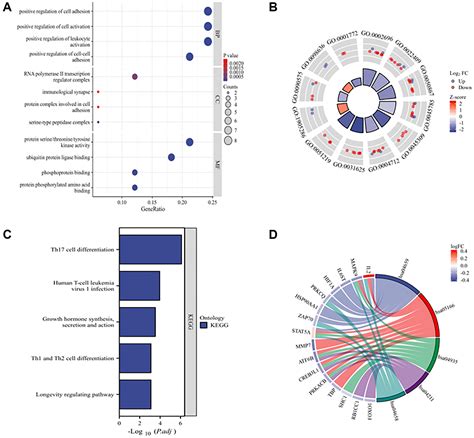 Bioinformatics Based Identification And Validation Of Hub Genes