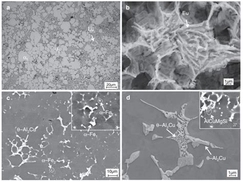 Effect Of Heat Treatment And Fe Content On The Microstructure And