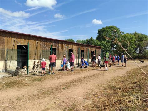 Visite Des Chiens La Ferme Des Belles Natures