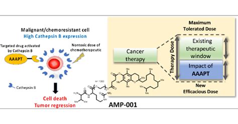 Rational Drug Design Of Targeted And Enzyme Cleavable Vitamin E Analogs