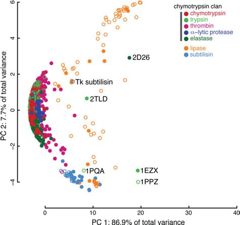 SCs illustrate catalytic triad diversity among serine proteases ...