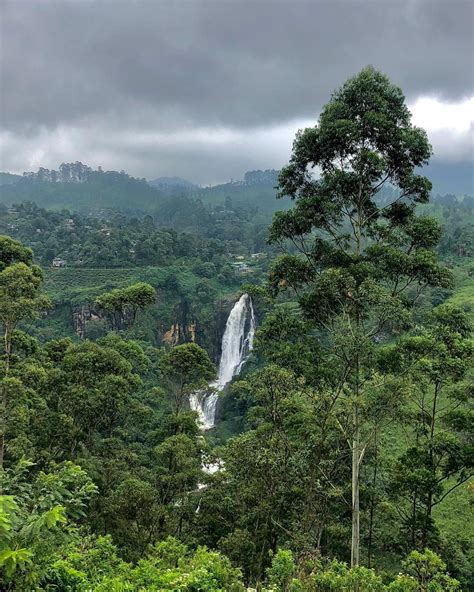 Travelsrilanka On Twitter Beaut Of Srilanka Travelsrilanka