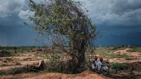 Kenianische Sekte Beh Rden In Kenia Bergen Tote Durch Sektenkult