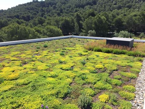 Cubiertas Ajardinadas Tipos Y Beneficios Urbanature