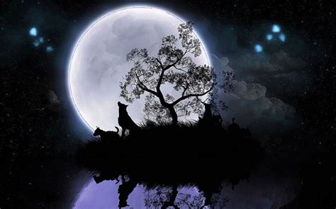 Wolf Night Moon HD Wallpapers - Wolf-Wallpapers.pro