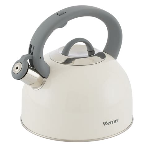 Чайник для кипячения воды Werner Estro 51569 2,5 л - купить в Москве в ...