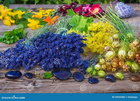 Erbe Medicinali E Pietre Curative Fotografia Stock Immagine Di