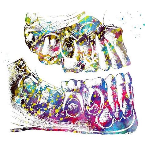 Human teeth anatomy | Human teeth, Teeth anatomy, Teeth