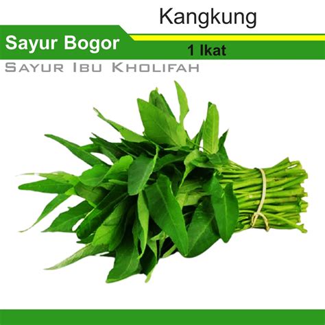 Jual Kangkung Hijau Segar Per Ikat Makanan Sayur Sayuran Segar Bogor