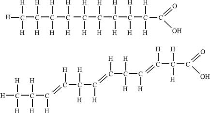 Unsaturated Fats Structure