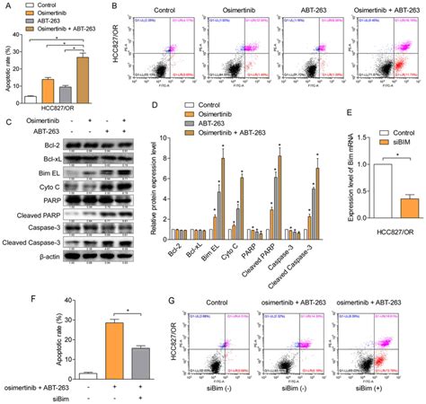 Inhibition Of Bcl And Bcl Xl Overcomes The Resistance To The Third