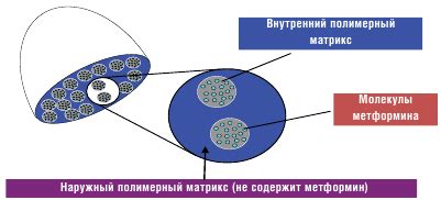 Глюкофаж лонг и обычный в чем разница