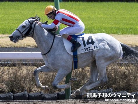 【初ブリンカー装着馬 924土版】中京1rゴッドスピードレオは馬場状態次第で面白味あり｜競馬ニュース｜競馬予想のウマニティ