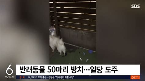 반려동물 보호비 100만원 받고 방치·학대해 죽게 한 일당 잠적알고 보니 경찰 수배범 네이트 뉴스