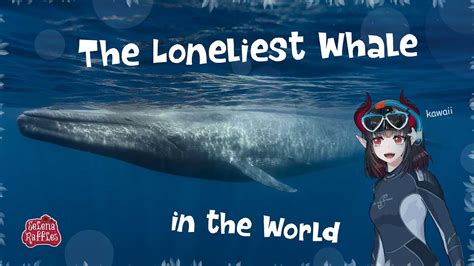 Elen Corner Selena Raffles The Loneliest Whale In The World Youtube