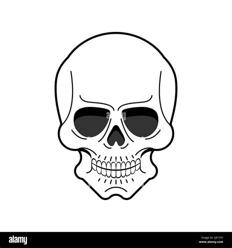 Anatomical Skull Isolated Skeleton Head Vector Illustration Stock Vector Image And Art Alamy