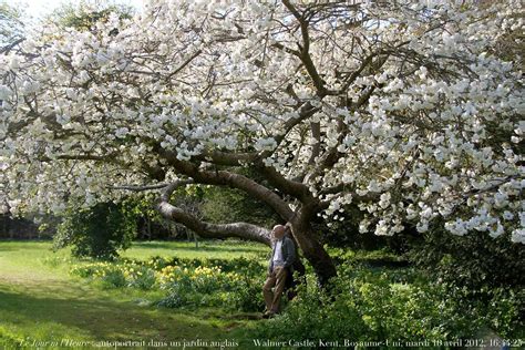 Le Jour Ni Lheure Autoportrait Dans Un Jardin Angl Flickr