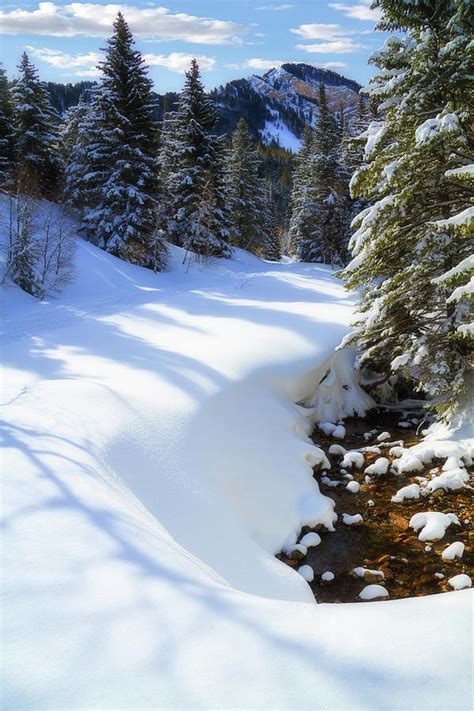 Winter on Mount Timpanogos Photograph by Douglas Pulsipher - Fine Art ...