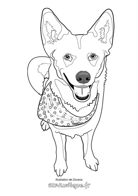 Coloriage Chien Dessin Chien A Imprimer 21