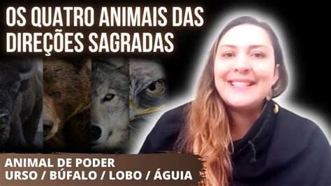 Os Animais Das Dire Es Sagradas Roda Medicinal Xamanismo