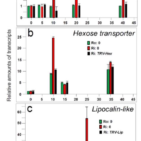 Relative Amounts Of Transcripts Of Permease I Hexose Transporter