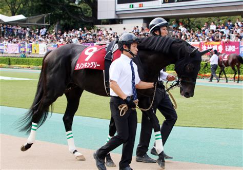 Jra 川田将雅騎手とダノンキングリーが新コンビ結成！ 安田記念（g1）悲願のg1初制覇を狙うも、気になる鞍上の「二者択一」 Gj