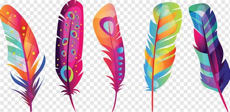 Plumas De Colores Png Plumas De Colores