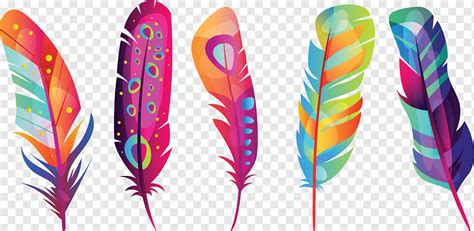 Plumas De Colores Png Pngwing