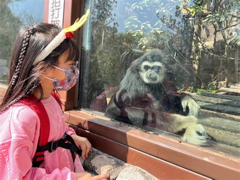 壽山動物園連假人氣強強滾 估天天迎8000人次 生活 中央社 Cna