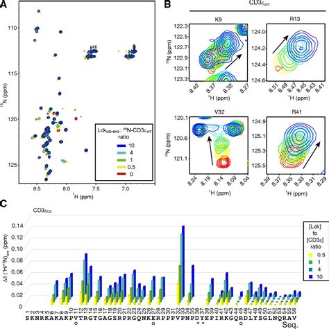 Ionic CD3Lck Interaction Regulates The Initiation Of T Cell Receptor