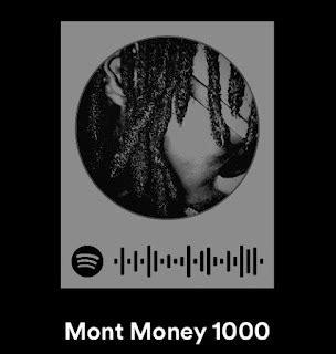 Verified Spotify Artist