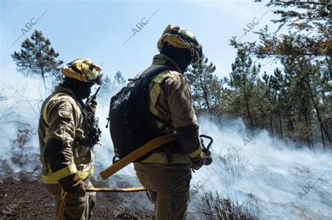 Reportaje De Los Brigadistas Luchando Contra El Incendio Forestal En