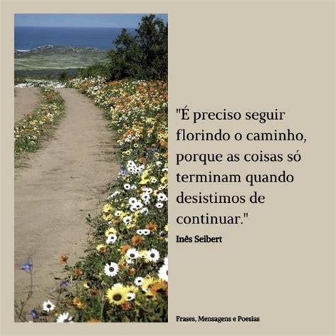 Frases Mensagens e Poesias É Preciso Seguir Florindo o Caminho