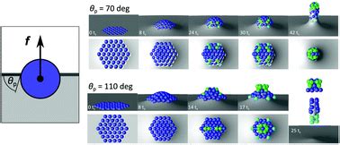 Particle Clusters At Fluidfluid Interfaces Equilibrium Profiles