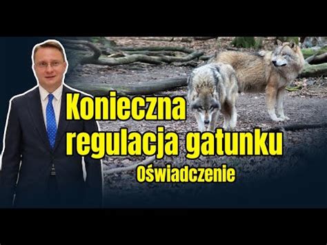 Odstrzał odłowienie Poseł Piotr Uruski interweniuje w Sejmie YouTube