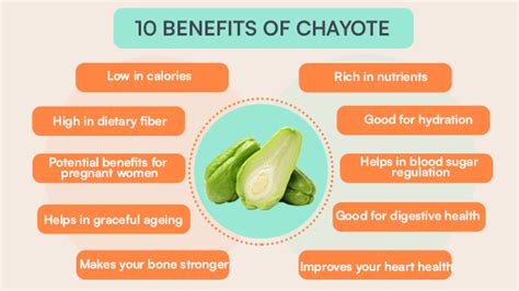 Chayote Benefits From Managing Weight To Digestive Health