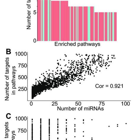 Mirna Tf Pathway Associations Help Enrich True Mtis A Schematic