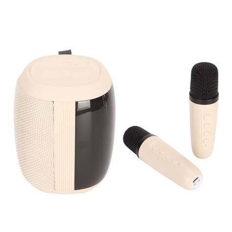 Microphone Bluetooth Speaker with 2 Microphones RGB Light Karaoke ...