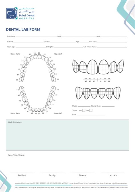 Plano De Tratamento Odontológico Dental Speed Artofit