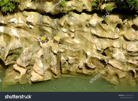 karst landscape features caves underground flows stock photo