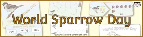 World Sparrow Day Info And Printable Activitiesposters Early Years