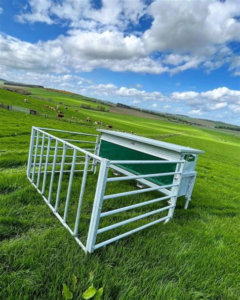 Calf Creep Feeder Condon Engineering