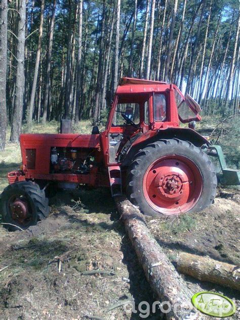 Obraz Ciagnik Mtz 82 Id 231936 Galeria Rolnicza Agrofoto