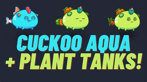 Cuckoo Aqua Double Plant Team Build Axie Infinity Arena Gameplay