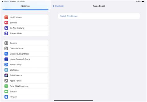 Apple Pencil Essentials cómo configurar usar y solucionar problemas