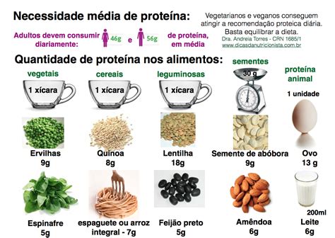 Nutrição Holística Consuma Proteínas de Origem Vegetal Nutrição