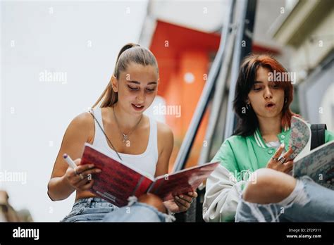 Zwei Highschool M Dchen Lernen Nebenbei Im Freien Tauschen Ihr Wissen