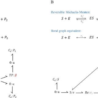 Bond graph representation of reversible reactions. (A) Reversible mass ...